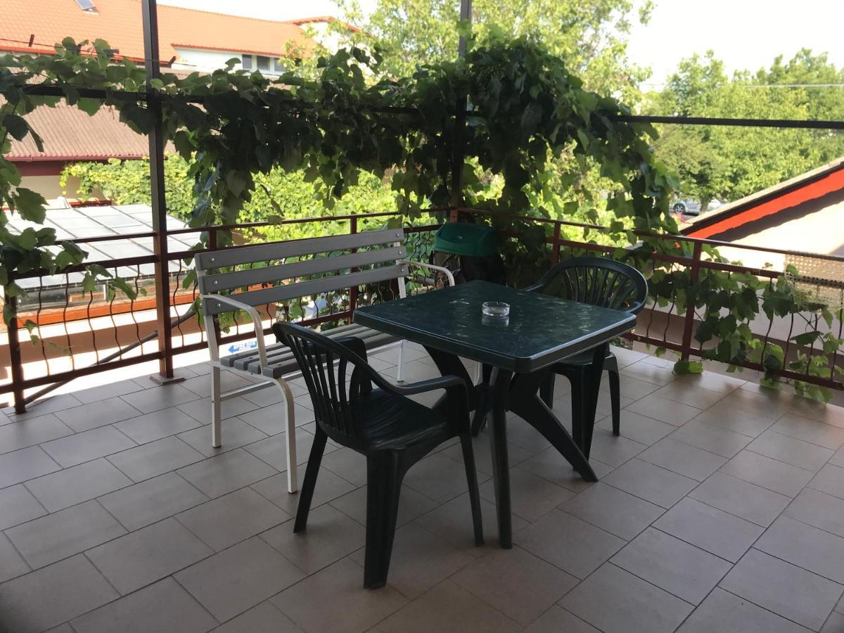 Hotel Casa Selena Costinesti Zewnętrze zdjęcie